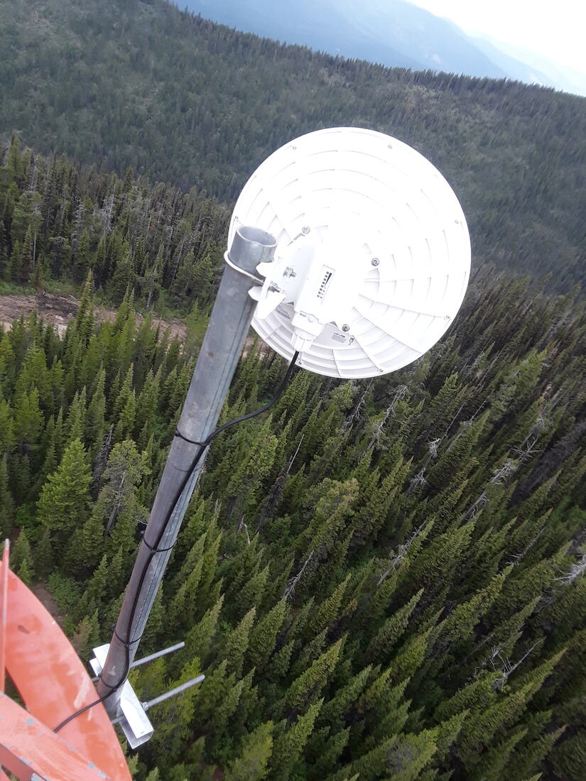 Microwave dish on a mountaintop tower above a pine forest